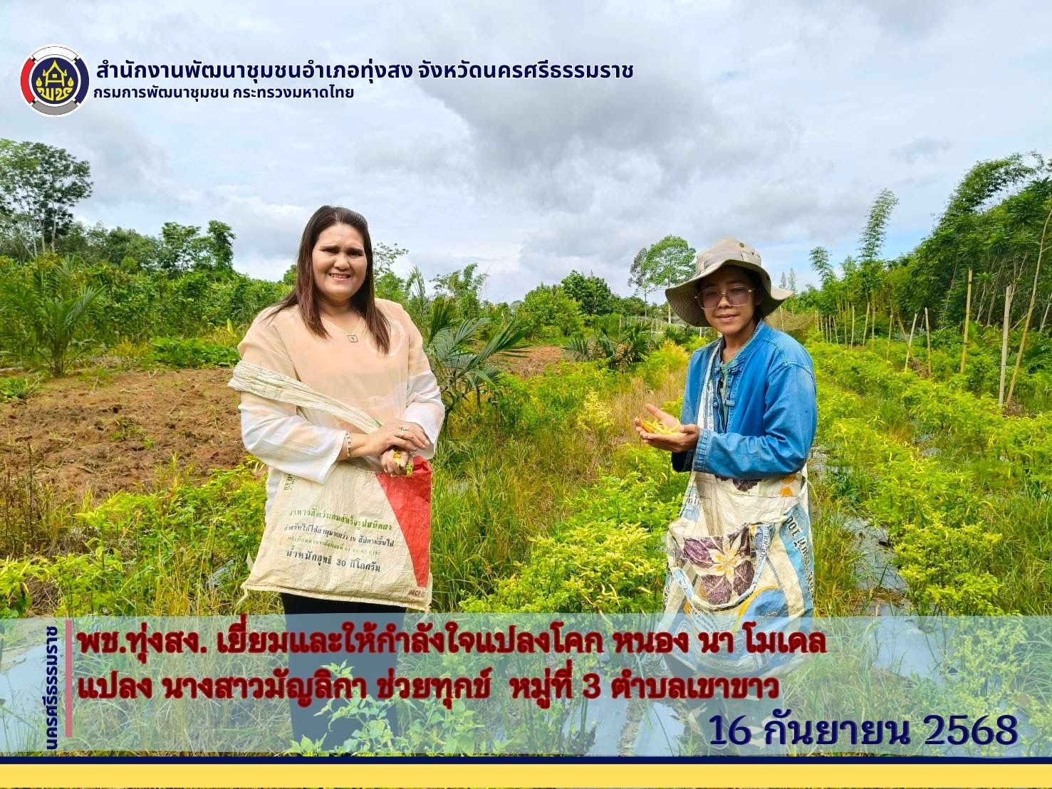 พช.ทุ่งสง จังหวัดนครศรีธรรมราช เยี่ยมและให้กำลังใจกลุ่มปลูกผักยกแคร่และผักปลอดสารพิษบ้านสหกรณ์ หมู่ที่ 3 ตำบลเขาขาว