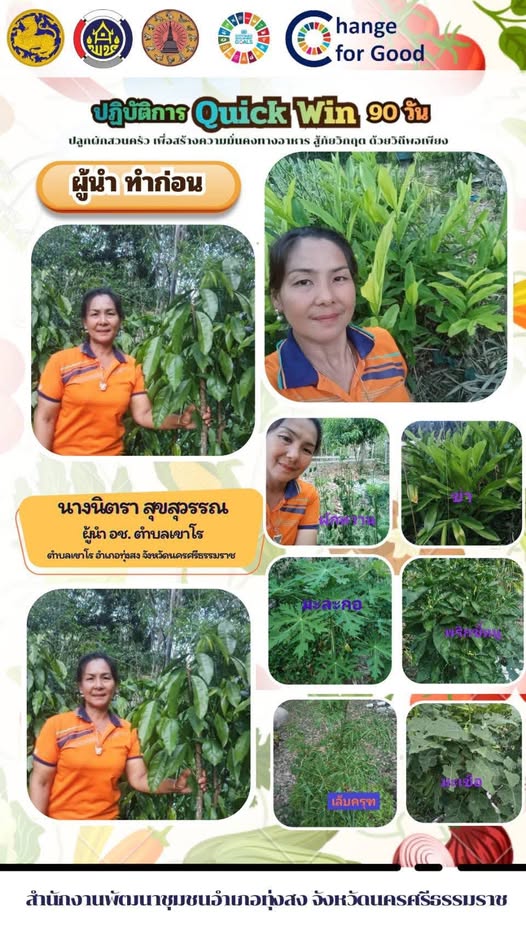พช.ทุ่งสง : ขับเคลื่อนกิจกรรม “ผู้นำทำก่อน” ปฏิบัติการ "Quick Win" 90 วัน ปลูกผักสวนครัว เพื่อสร้างความมั่นคงทางอาหาร สู้ภัยวิกฤต ด้วยวิถีพอเพียง